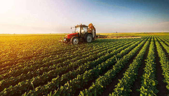 Banks Increase Agriculture Lending to N3.86tn as Oil, Manufacturing Credit Decline